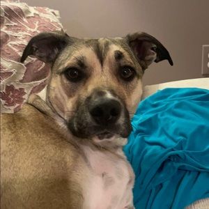 Meet your Posher, Stacy